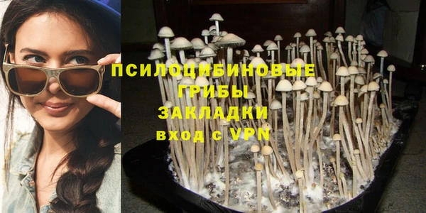 не бодяженный Протвино