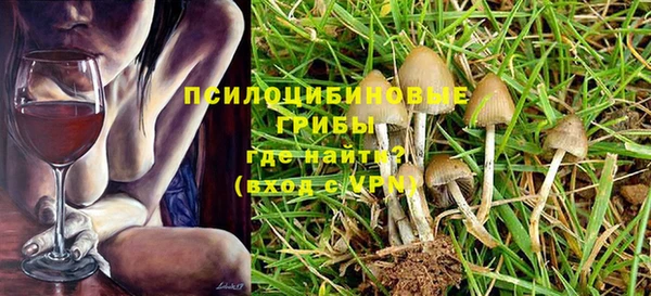 не бодяженный Протвино
