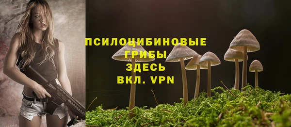не бодяженный Протвино