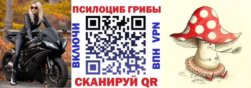 гидра   Торжок  Псилоцибиновые грибы мицелий 