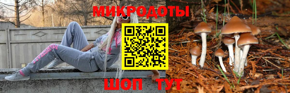 Торжок  Псилоцибиновые грибы GOLDEN TEACHER  Вход с VPN 