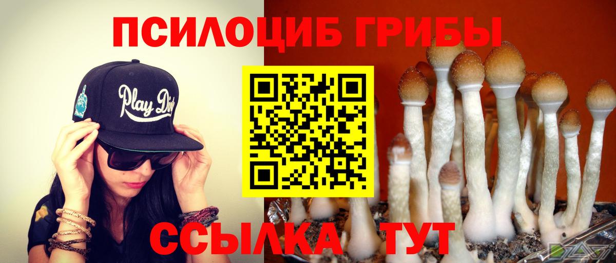 Галлюциногенные грибы ЛСД Торжок